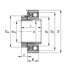 {S 2206-K-2RS-TVH-C3 + H306,  DIN 630  DIN 5415 ˜ʵҪߴ, F׺;oɂȴܷ